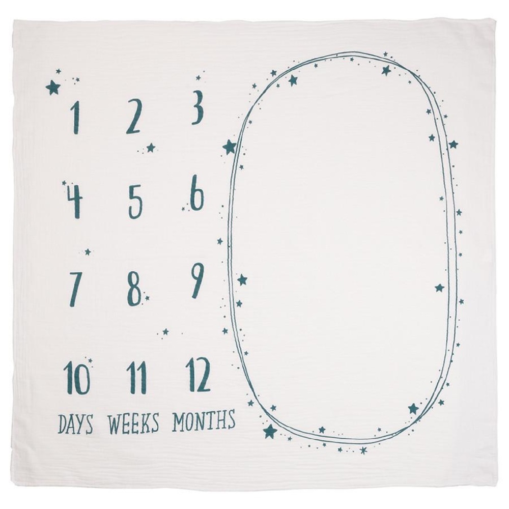 Milestone Blanket